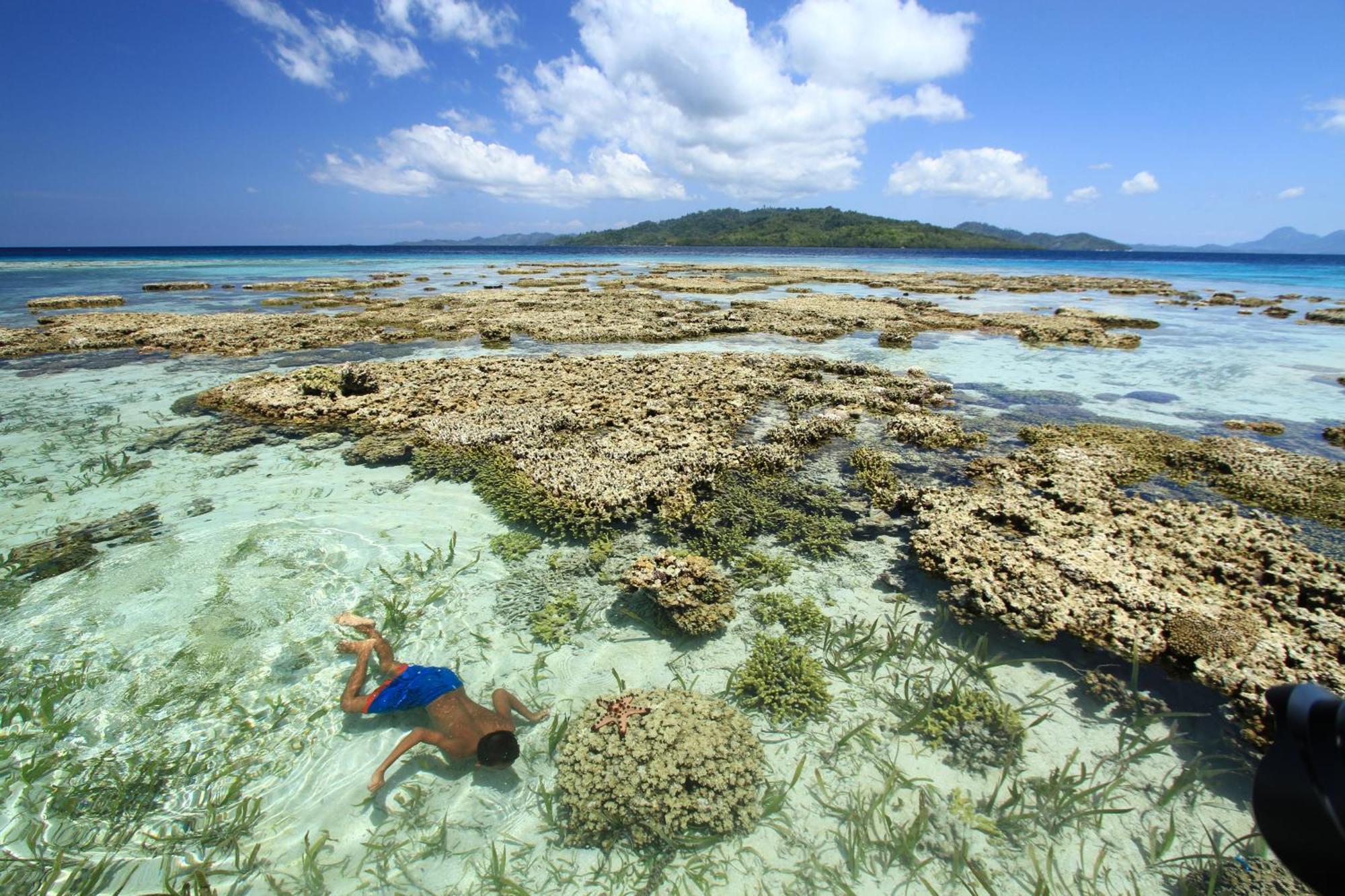 Bolilanga Island Resort - Togean Island Angkayo Exterior photo